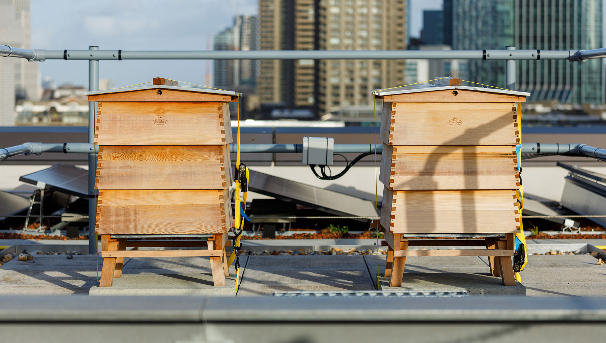 The JJ Mack Building